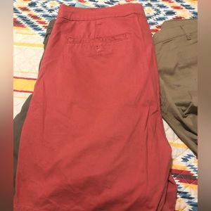 Saddlebred Shorts